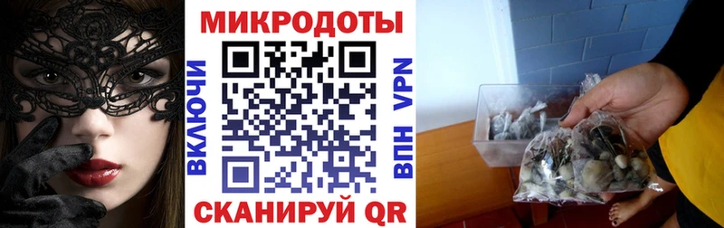 Псилоцибиновые грибы Psilocybe  дарнет шоп  Тайшет 